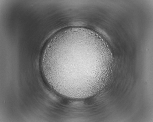 X0000073840155200608311944