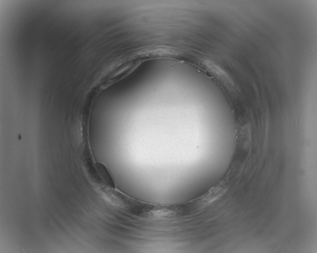 X0000073840158200608311944