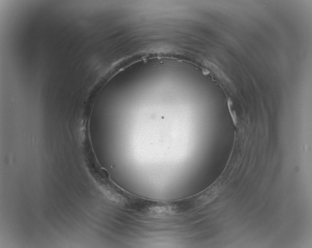 X0000073840160200608311944