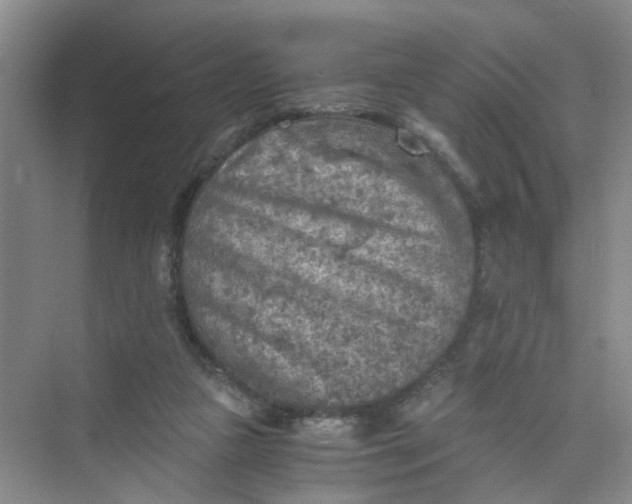 X0000073840161200608311944