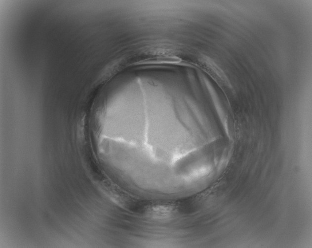 X0000073840163200608311944