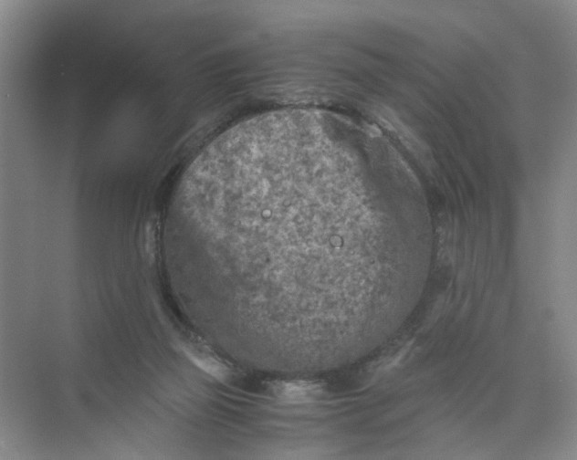 X0000073840165200608311944