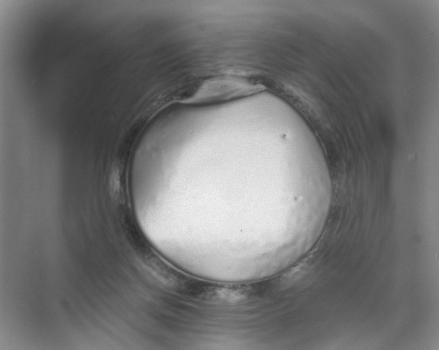 X0000073840166200608311944