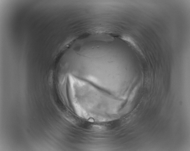 X0000073840167200608311944