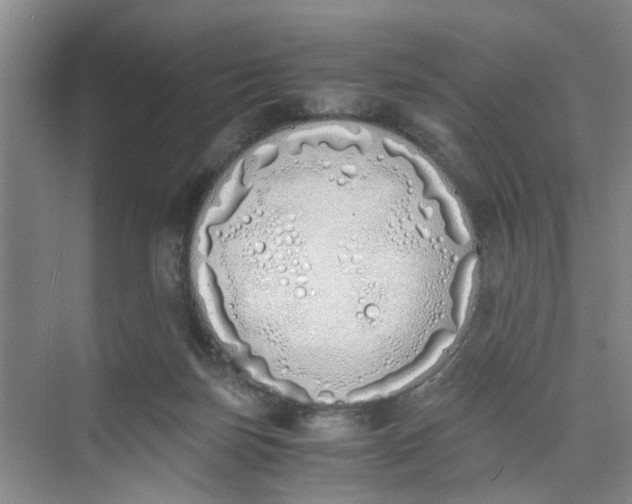 X0000073840171200608311944