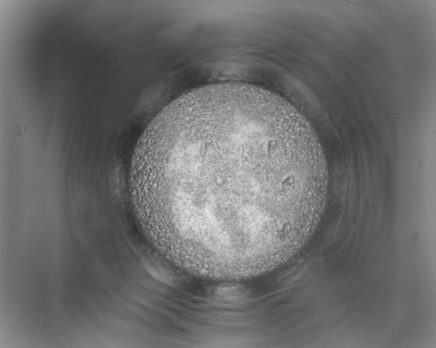 X0000073840173200608311944