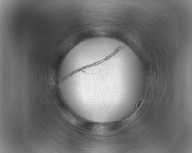 X0000073840174200608311944