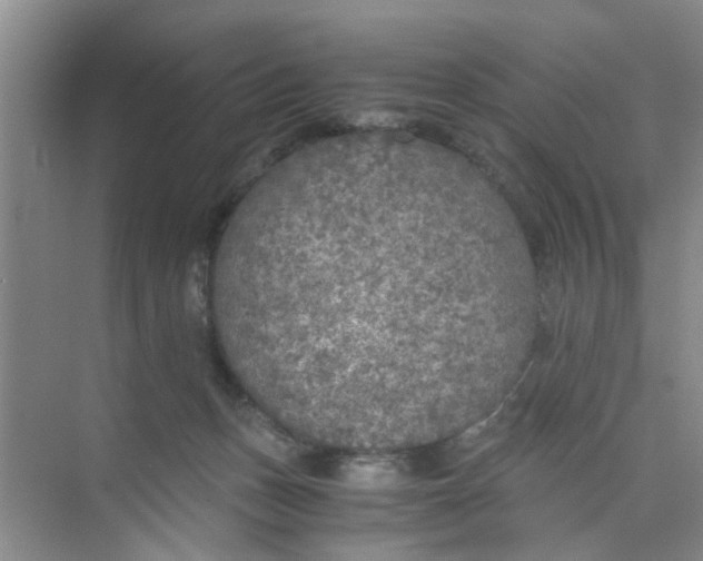 X0000073840175200608311944