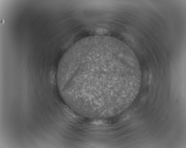 X0000073840177200608311944