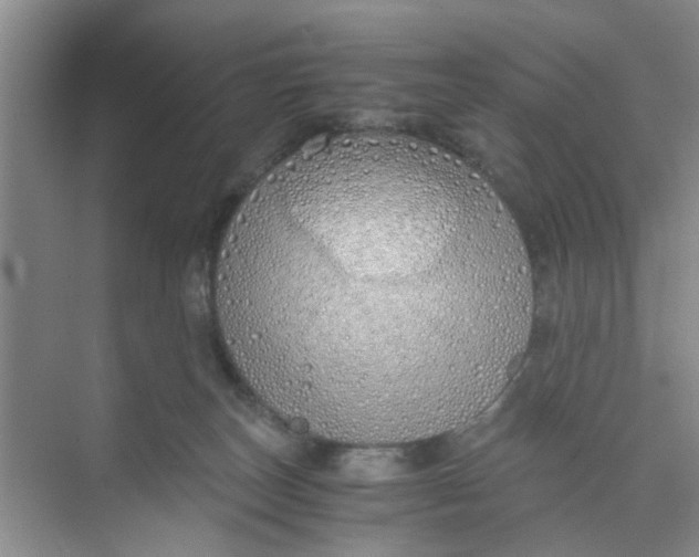 X0000073840179200608311944