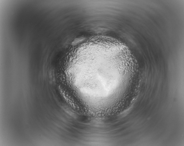 X0000073840182200608311944