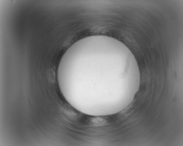 X0000073840183200608311944