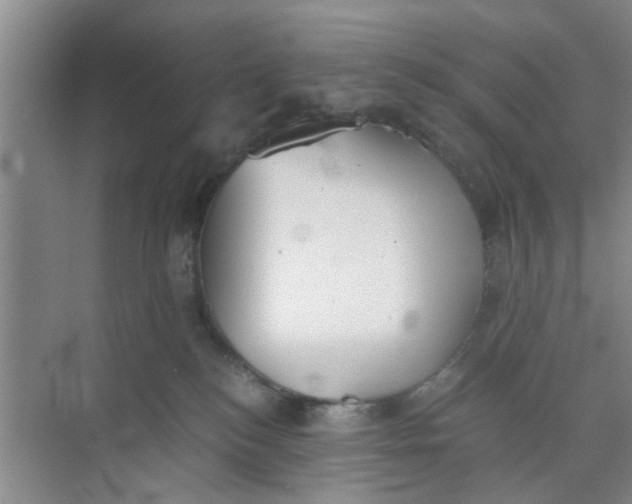 X0000073840184200608311944