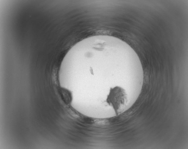 X0000073840185200608311944