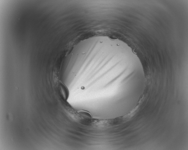 X0000073840186200608311944