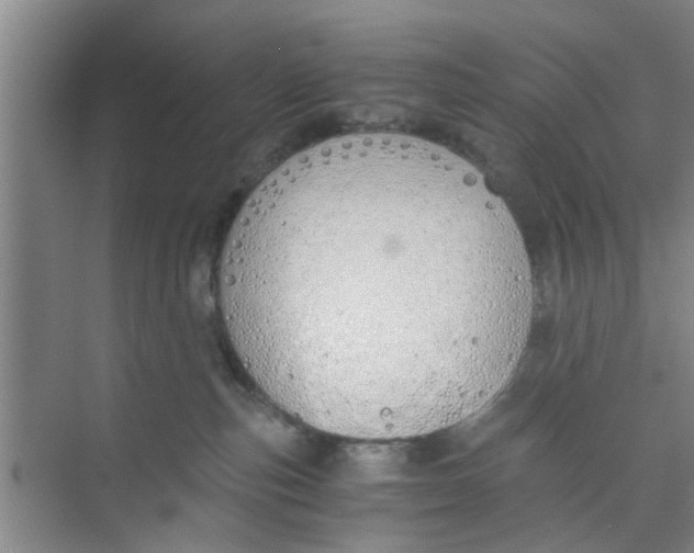 X0000073840187200608311944