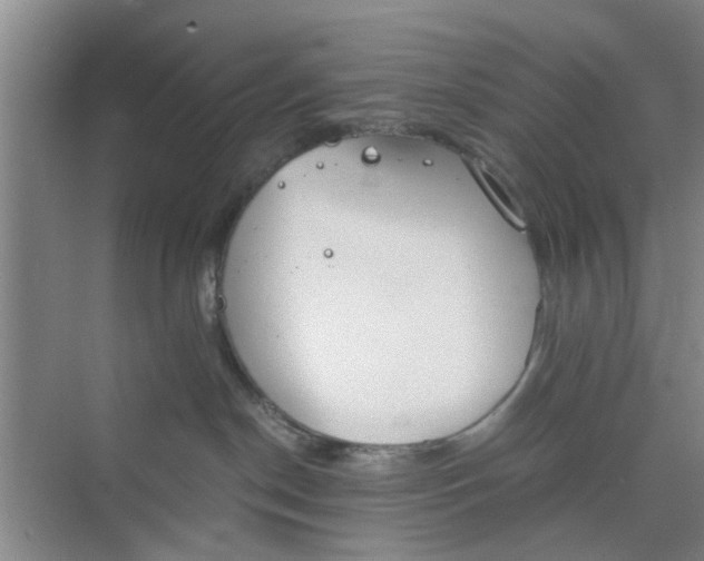 X0000073840190200608311944