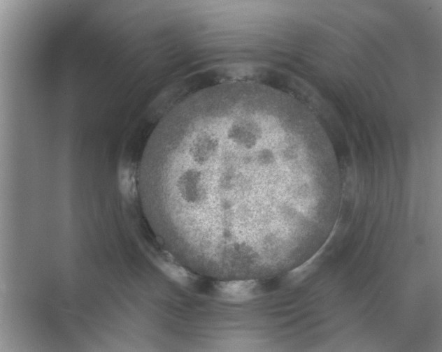 X0000073840191200608311944