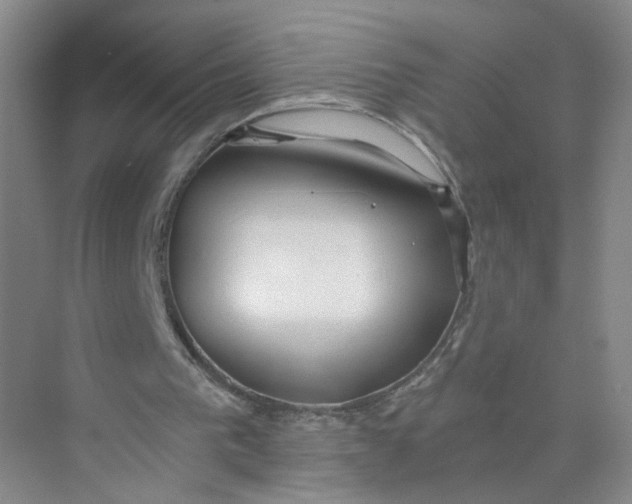 X0000073840193200608311943