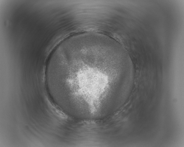 X0000073840194200608311943