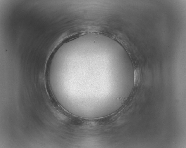 X0000073840195200608311943