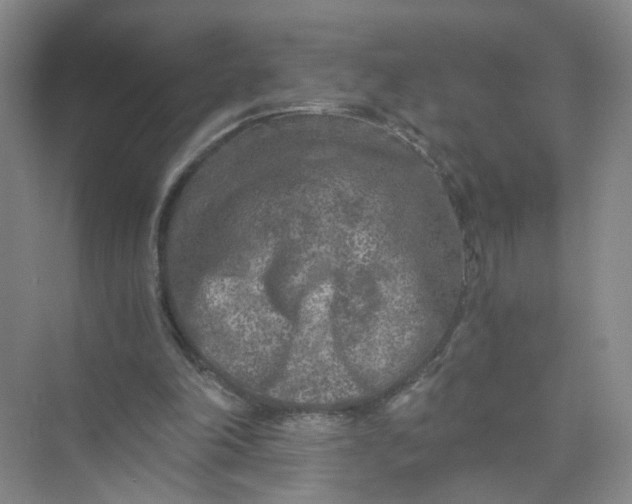 X0000073840198200608311943