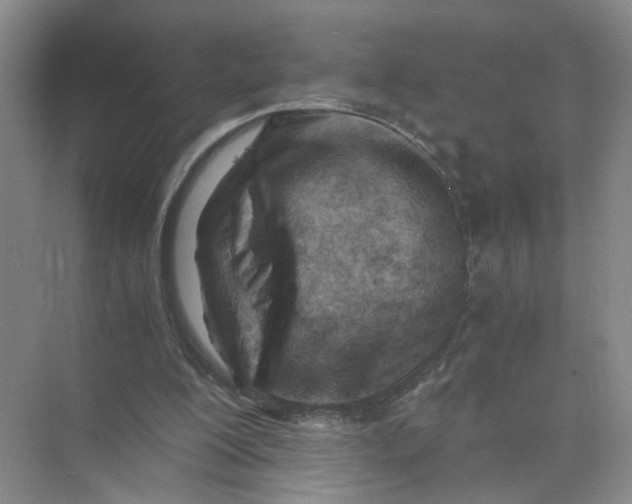 X0000073840200200608311943