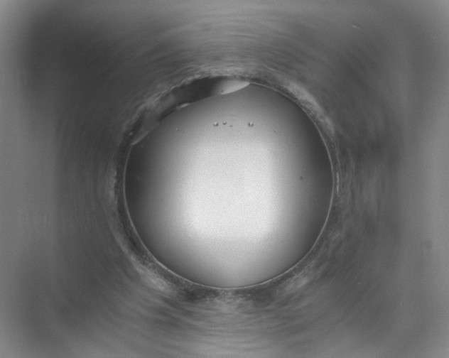 X0000073840201200608311943