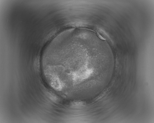 X0000073840202200608311943