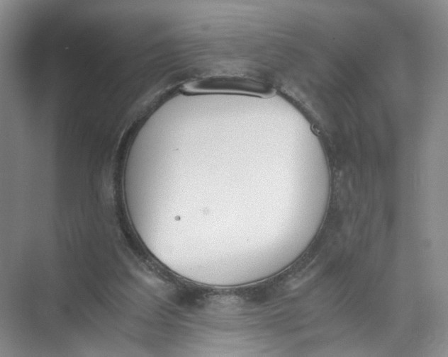 X0000073840203200608311943