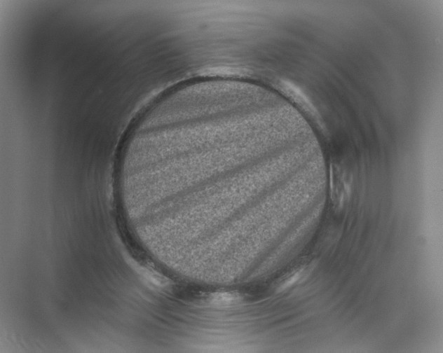 X0000073840204200608311943