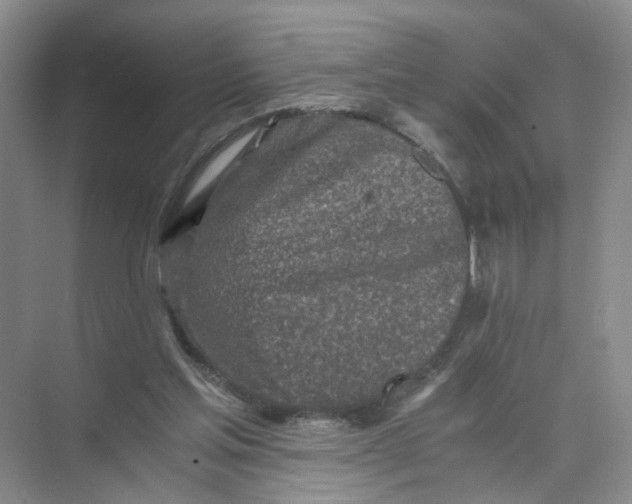 X0000073840205200608311943