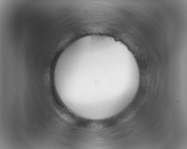 X0000073840207200608311943