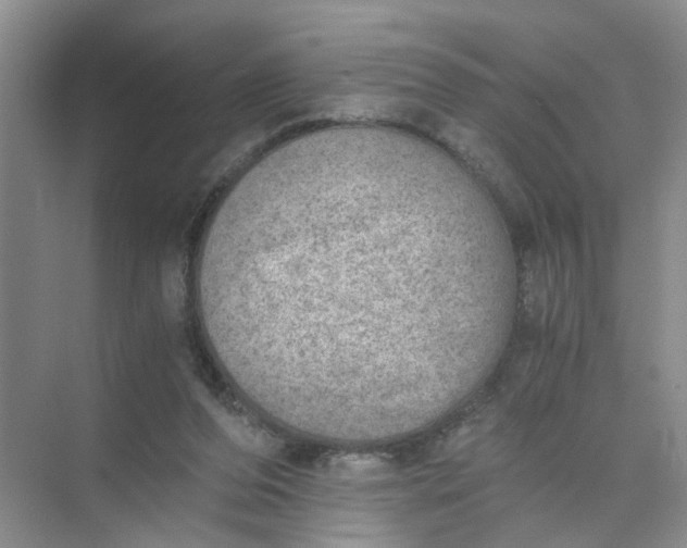 X0000073840208200608311943