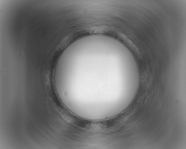 X0000073840209200608311943