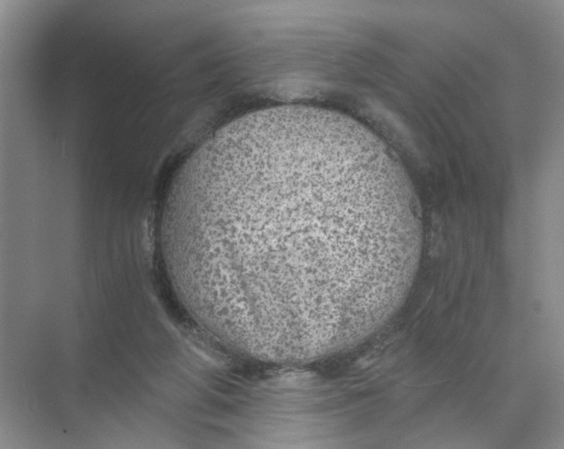 X0000073840210200608311943