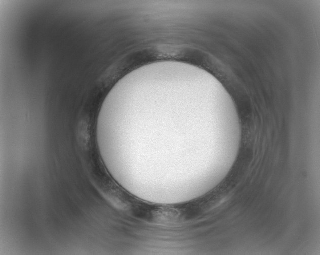 X0000073840215200608311943