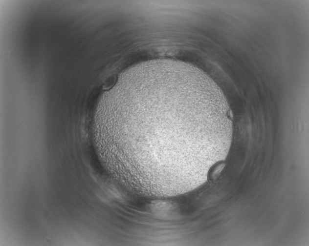 X0000073840218200608311943