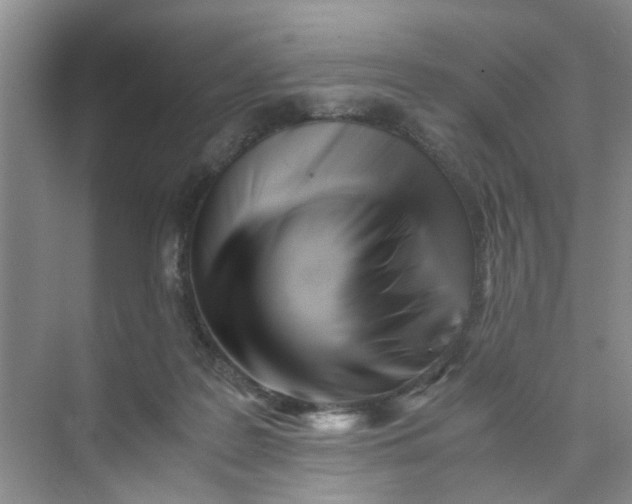 X0000073840219200608311943