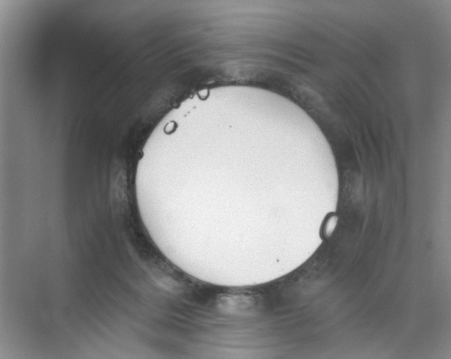 X0000073840220200608311943