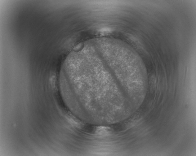 X0000073840222200608311943