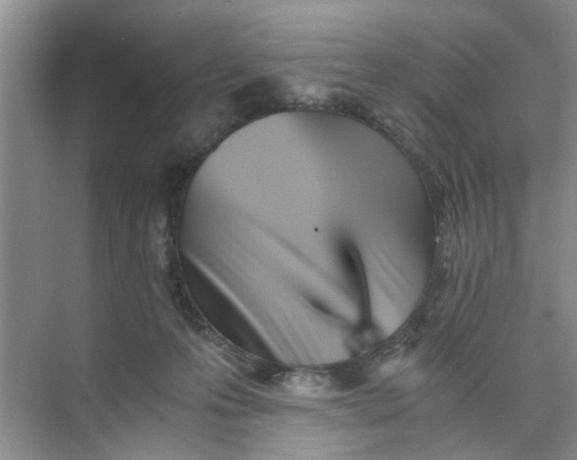 X0000073840223200608311943