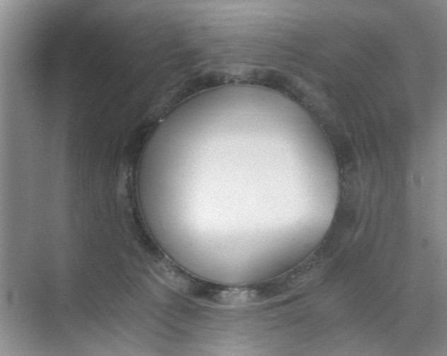 X0000073840225200608311943