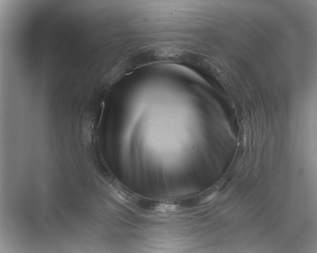 X0000073840227200608311943