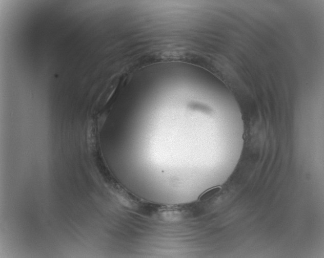 X0000073840228200608311943