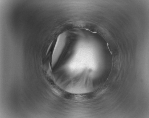 X0000073840229200608311943