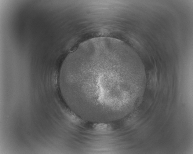 X0000073840230200608311943