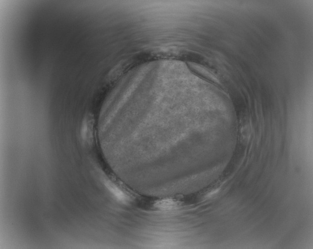 X0000073840231200608311943