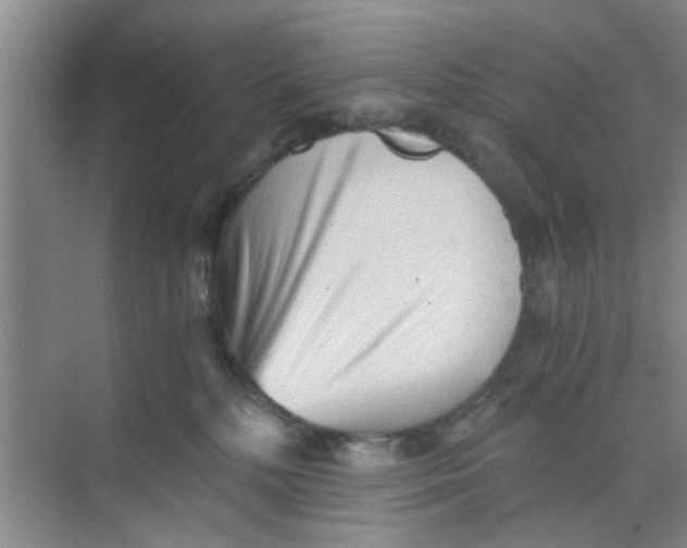 X0000073840232200608311943