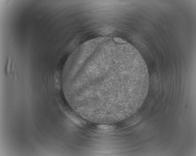 X0000073840234200608311943